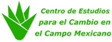 logo CECCAM logo CECCAM